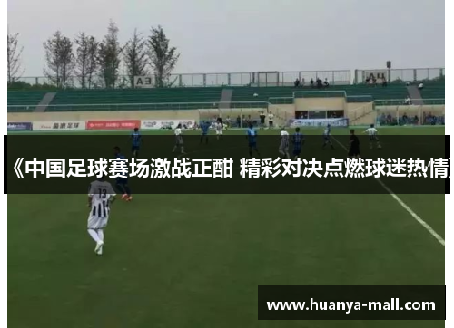 《中国足球赛场激战正酣 精彩对决点燃球迷热情》
